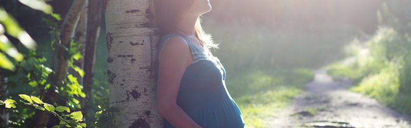 Estrés prenatal y desarrollo fetal
